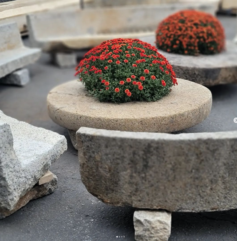 HP Murr - Red flowers on stone platforms